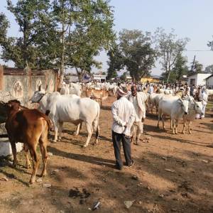 WhatsApp_Image_2025-11-17_at_11.03.08_AM_2_original