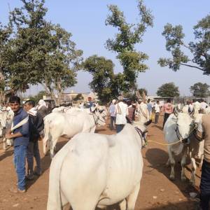 WhatsApp_Image_2025-11-17_at_11.03.02_AM_original