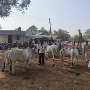 WhatsApp_Image_2025-11-17_at_11.03.07_AM_original