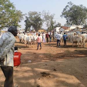 WhatsApp_Image_2025-11-17_at_11.03.09_AM_original