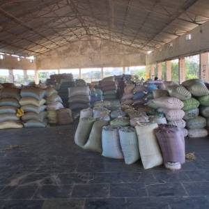 fd102193-ef3b-42f0-876f-3fbd11ced208_original