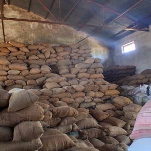 106b8442-6d42-4132-af48-9f61f5dba8c5_original