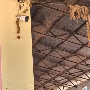 a78d89c2-dd34-4ae7-92ce-d8e0f9e7c770_original